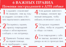 6 важных правил